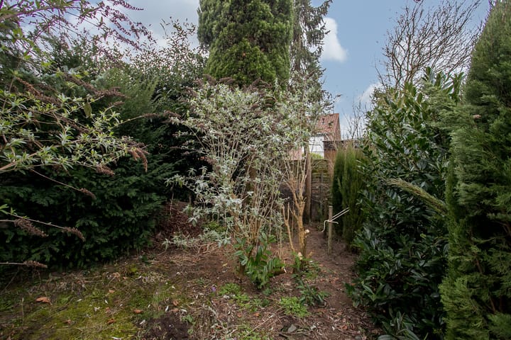 Foto 29 van Paul Guillaumestraat 23