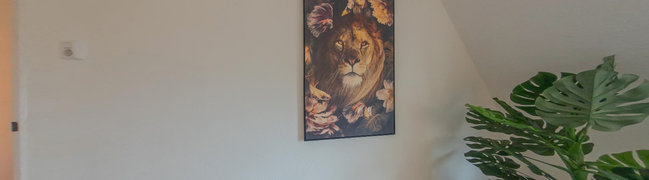 Slaapkamer