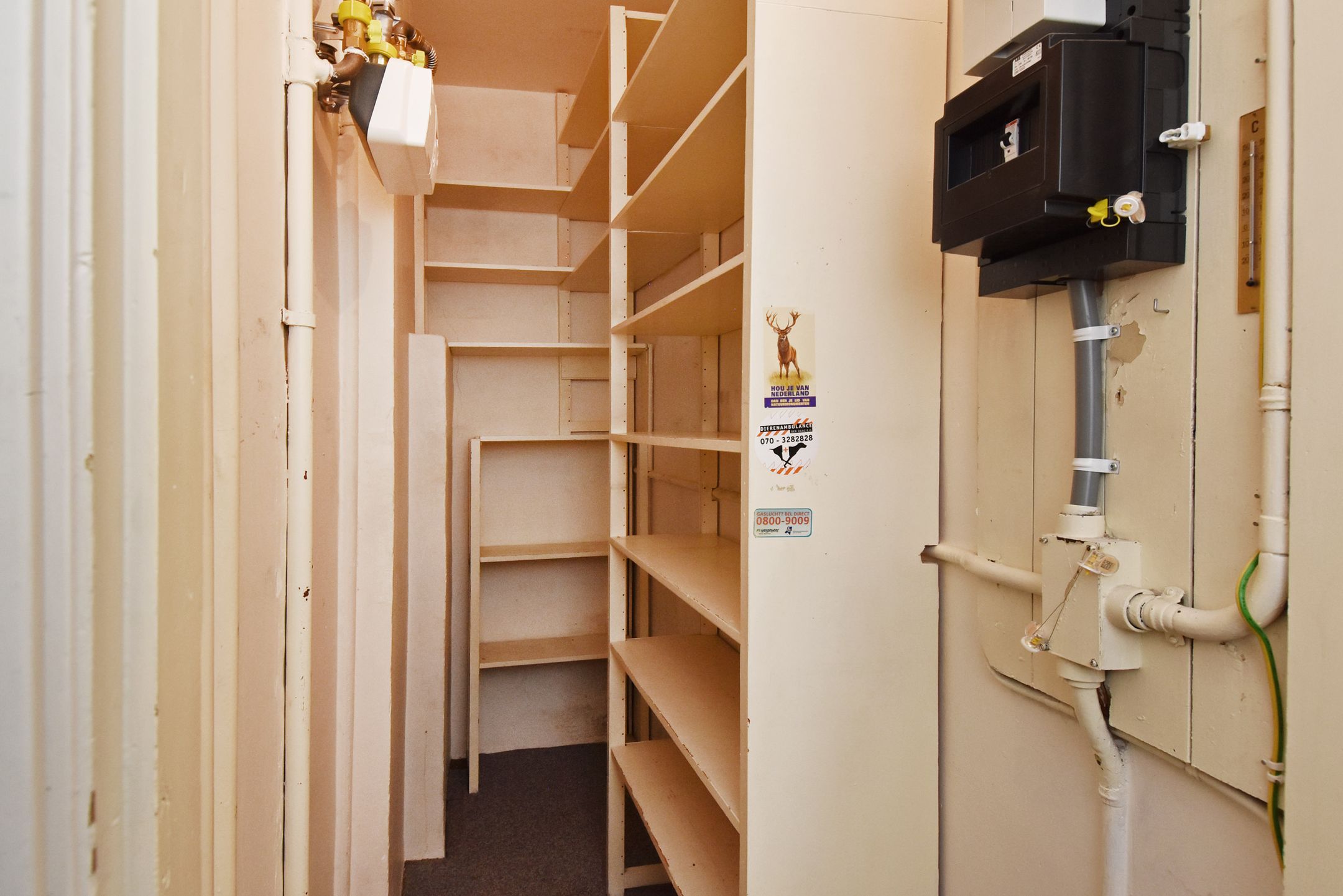 Foto 6 van Troelstrakade 305