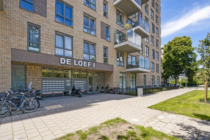 Loevesteinlaan 377-A