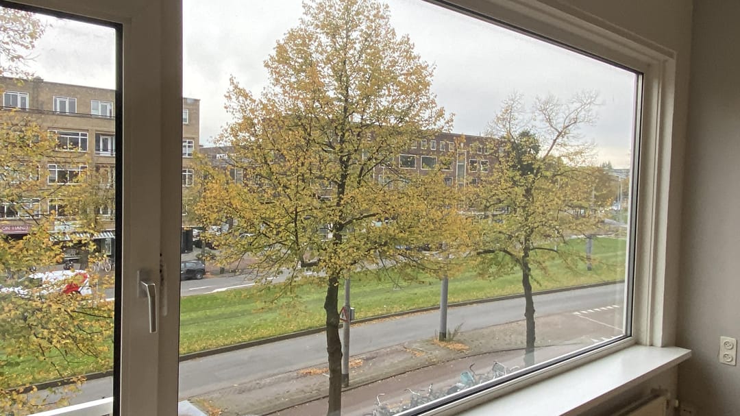 Foto 7 van Stadhoudersweg 90-C