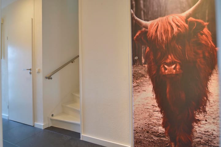 Foto 29 van Ringoven 121