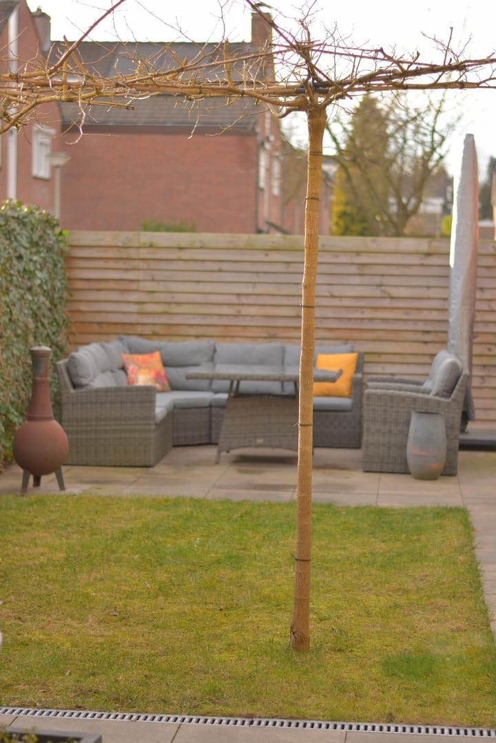 Foto 27 van Ringoven 121