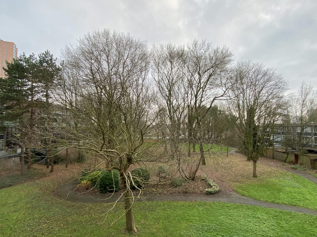 Photo 16 of Tijmweg 32