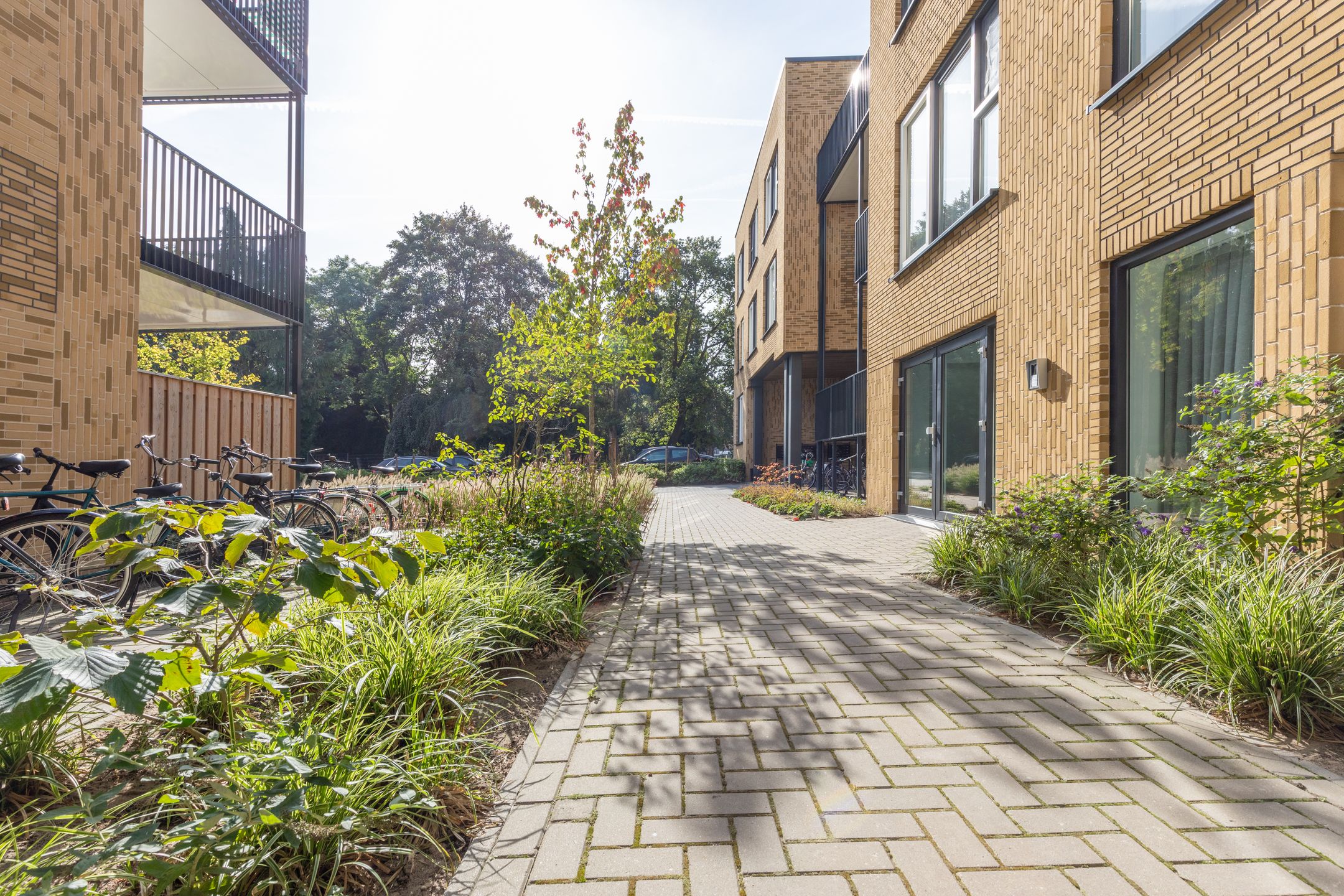 Foto 3 van Deurningerstraat 20-6