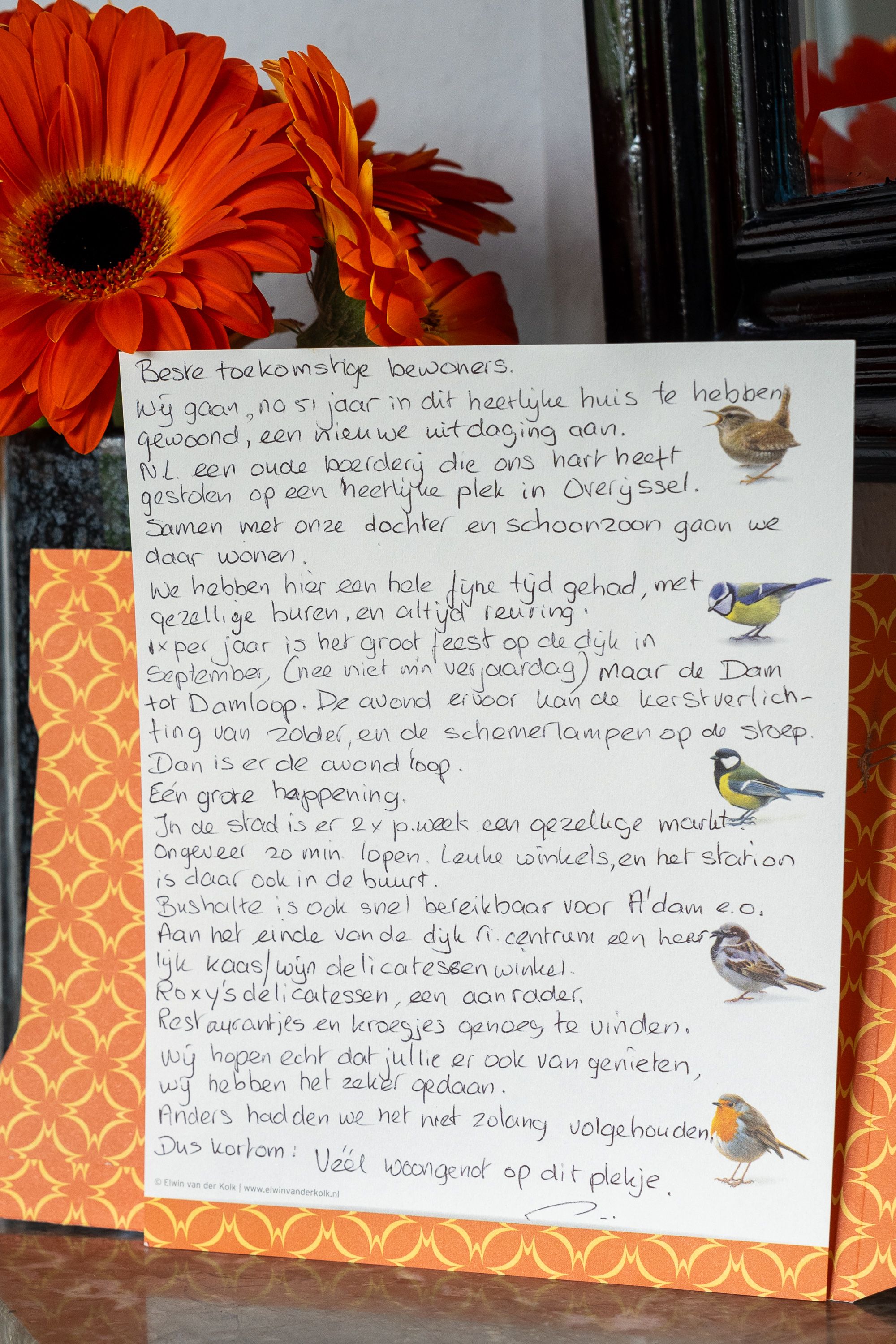 Photo 21 of Zuiddijk 232