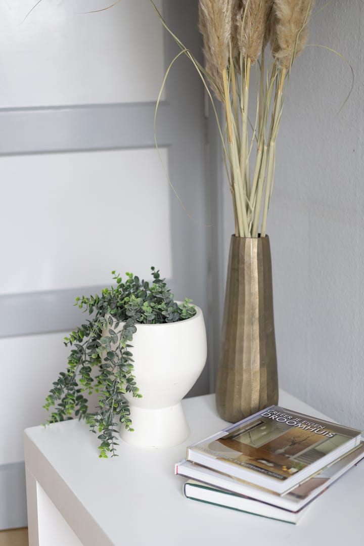 Photo 15 of Zuiddijk 232