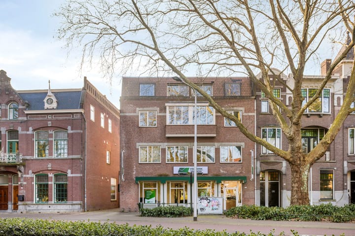 Foto 20 van Wilhelminapark 15-C