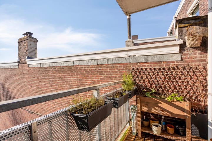 Foto 12 van Wilhelminapark 15-C