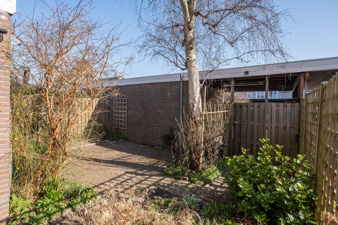 Foto 22 van Pieter Bossenstraat 7