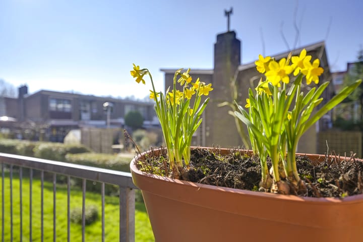 Photo 18 of Réaumurlaan 18