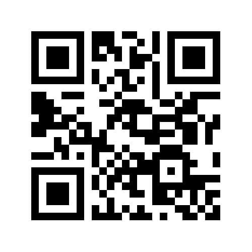 Foto 35 van Velserduinweg 155