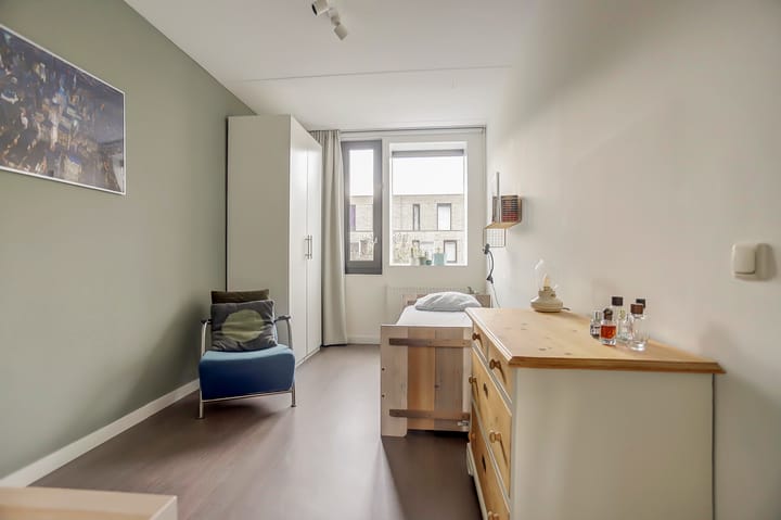 Photo 32 of Faradaystraat 13