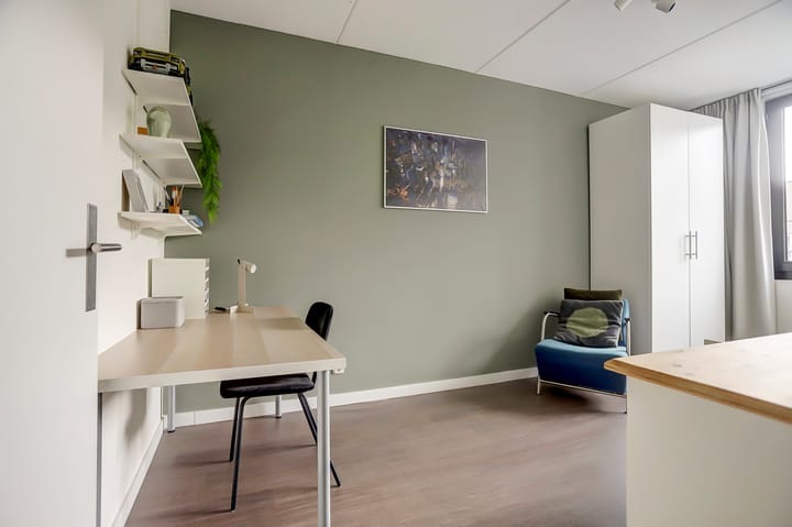 Photo 31 of Faradaystraat 13