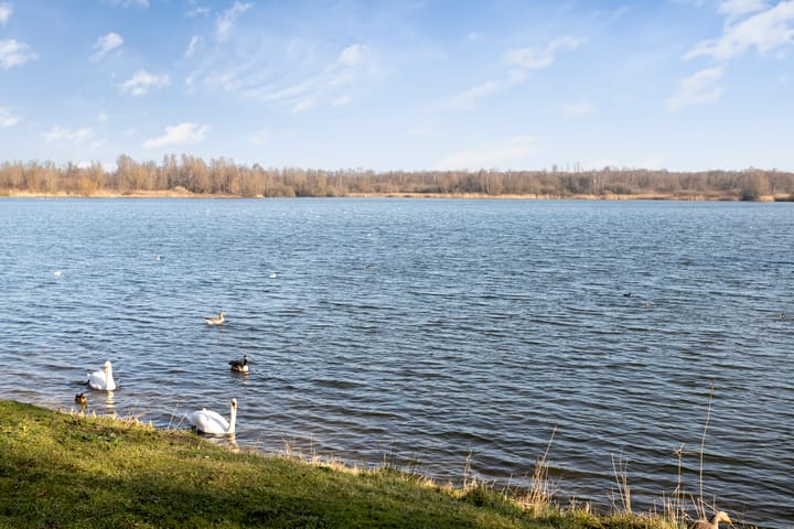 Foto 31 van Dwarsdijk 38