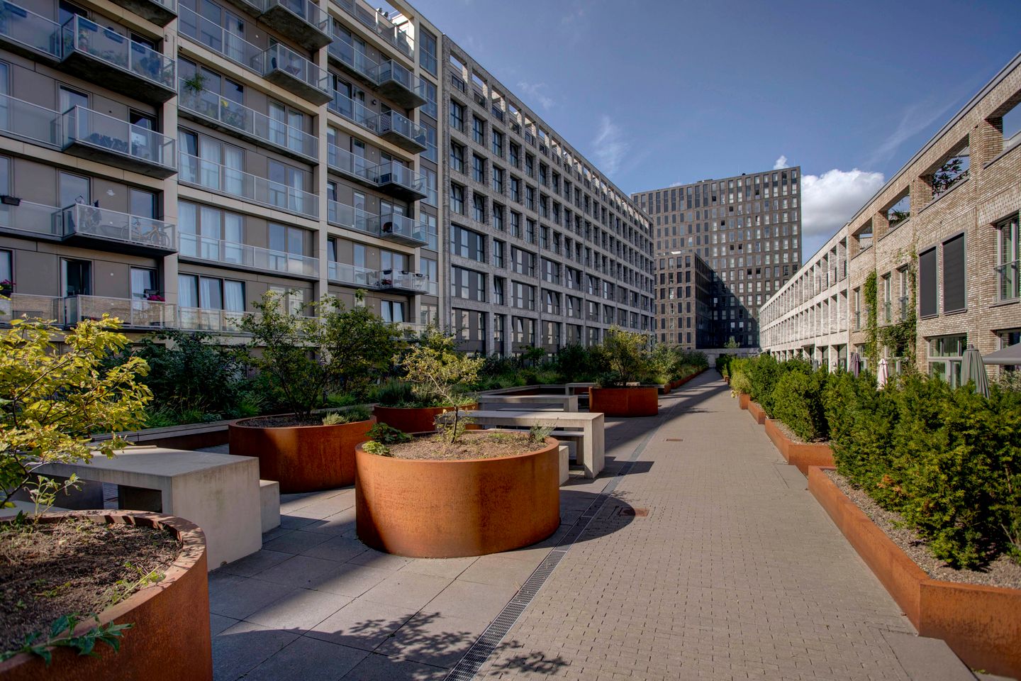 Foto 20 van Rinus Michelslaan 23