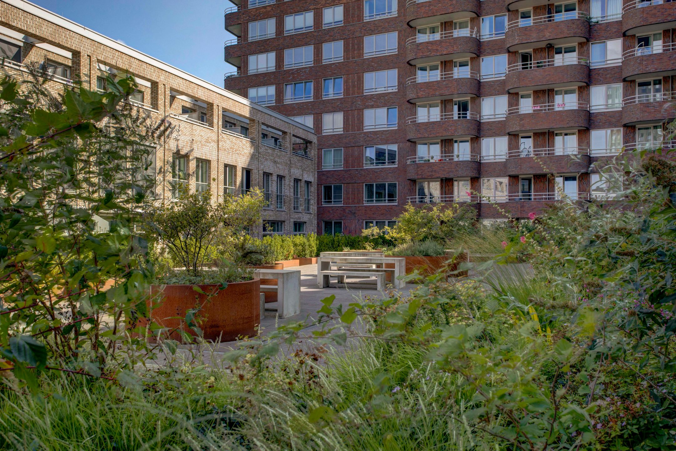 Foto 21 van Rinus Michelslaan 23