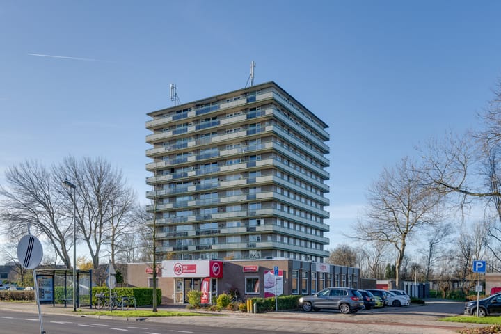 Foto 6 van Suze Groenewegstraat 161