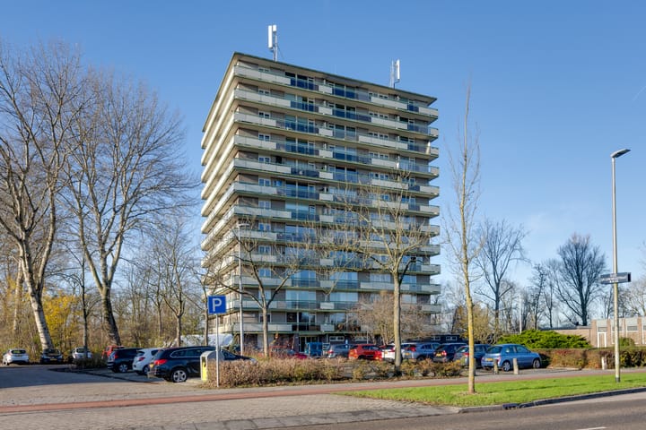 Foto 7 van Suze Groenewegstraat 161