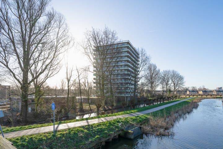 Foto 37 van Suze Groenewegstraat 161