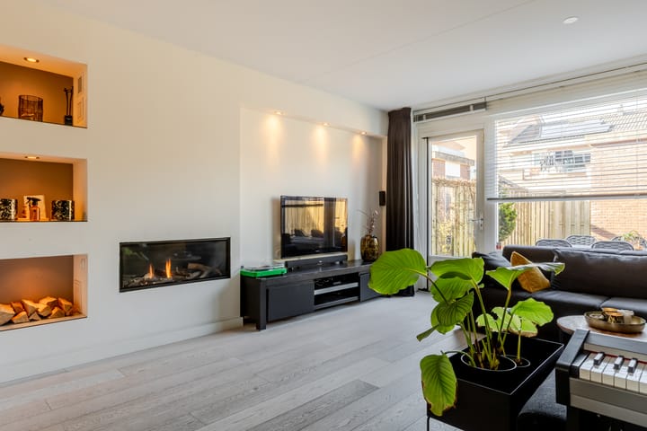 Foto 2 van Waterviolier 1-B