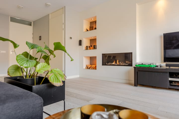 Foto 10 van Waterviolier 1-B