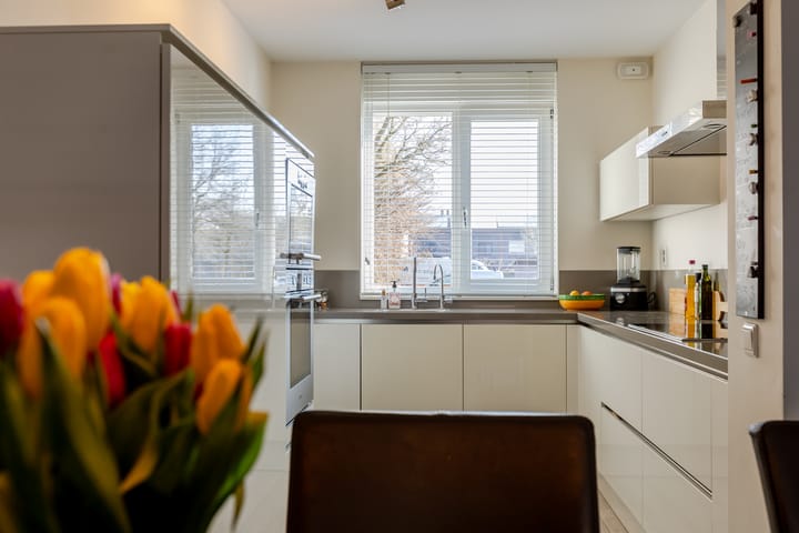 Foto 16 van Waterviolier 1-B