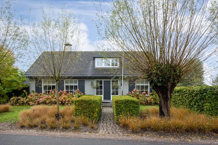 Foto 6 van Spankerstraat 1