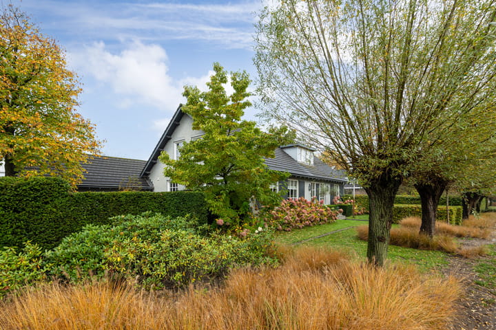 Foto 41 van Spankerstraat 1