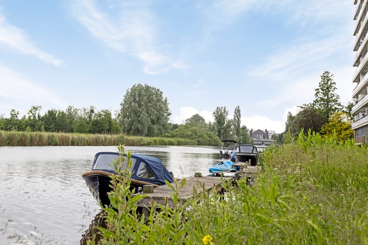 Foto 48 van Belle van Zuylenstraat 1