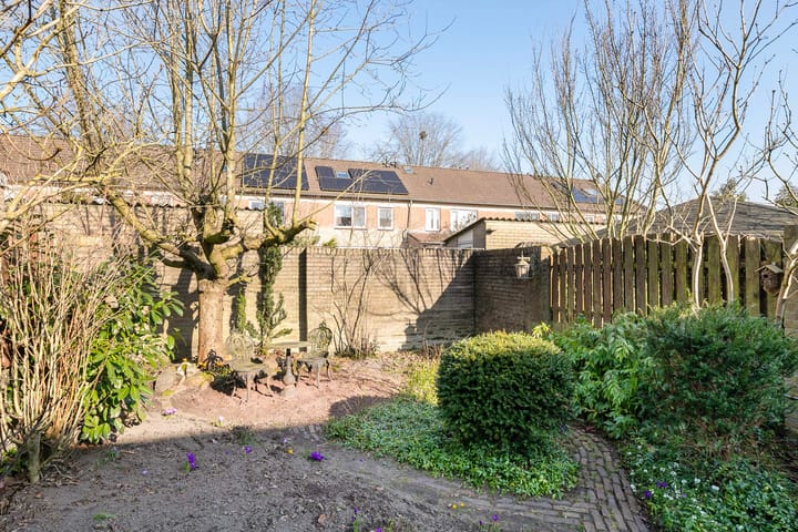 Foto 5 van Salderes 56