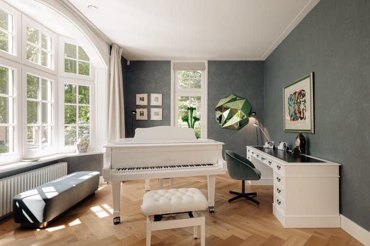 Foto 12 van Flevolaan 3