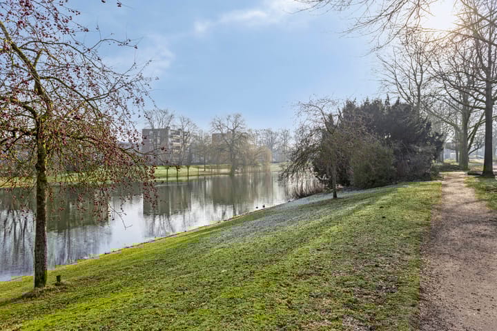 Foto 25 van Ruysdaelstraat 20