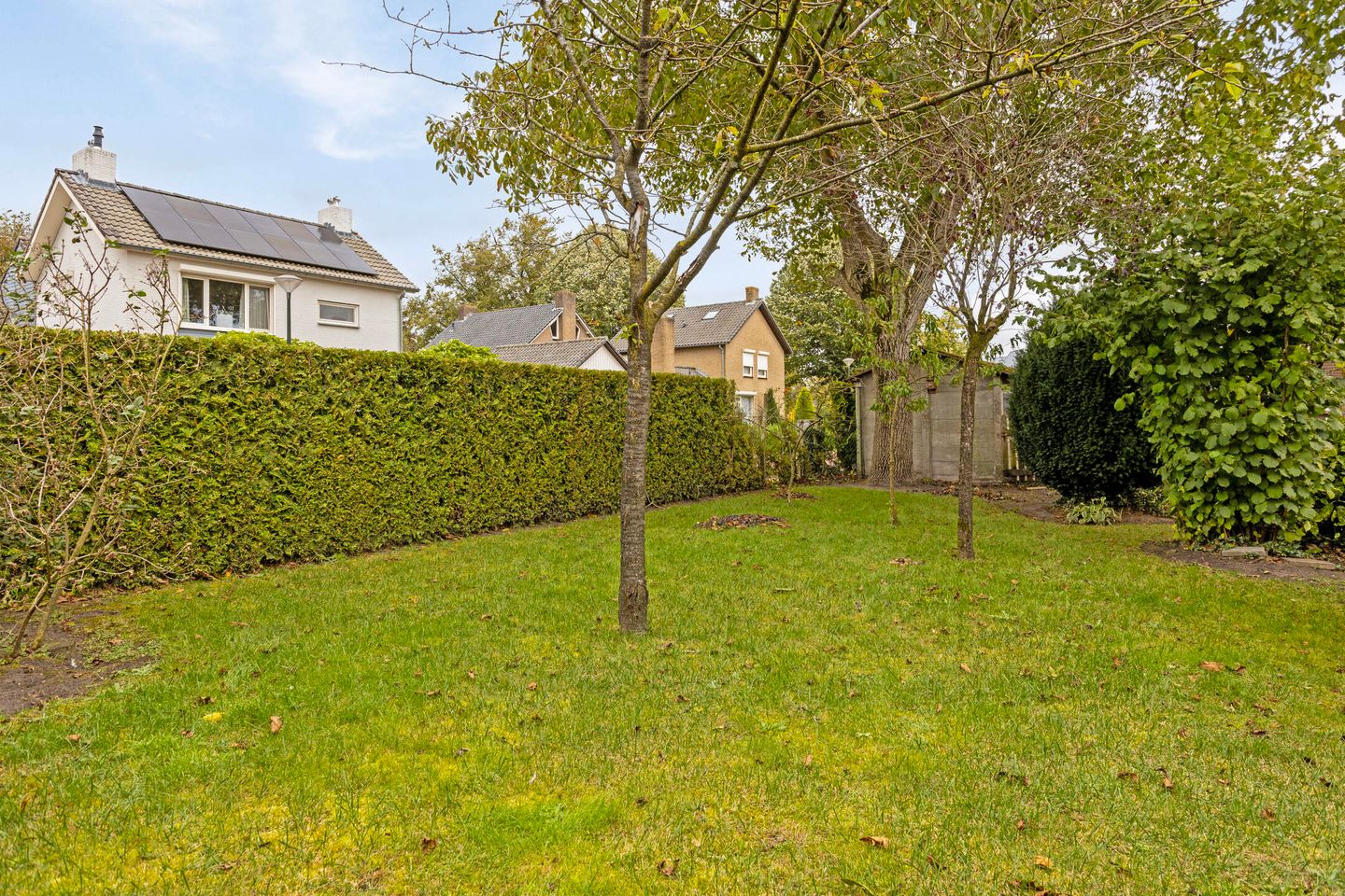 Foto 40 van Doornboomstraat 11