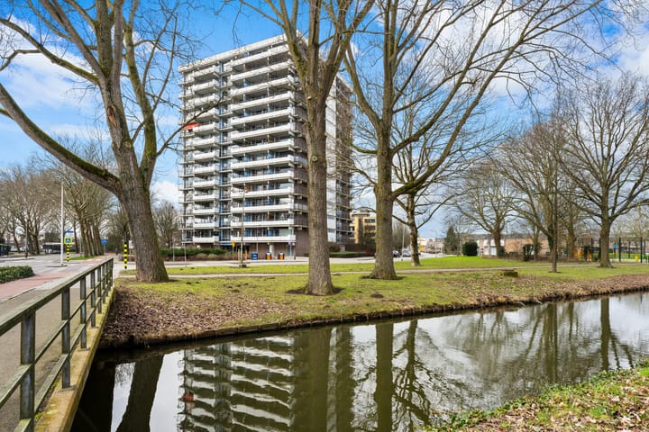de la Reijstraat 442