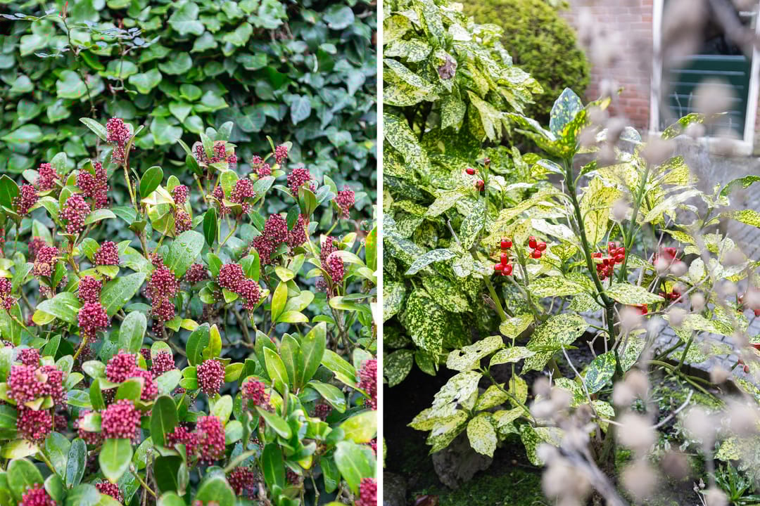 Foto 32 van Bosuilstraat 48