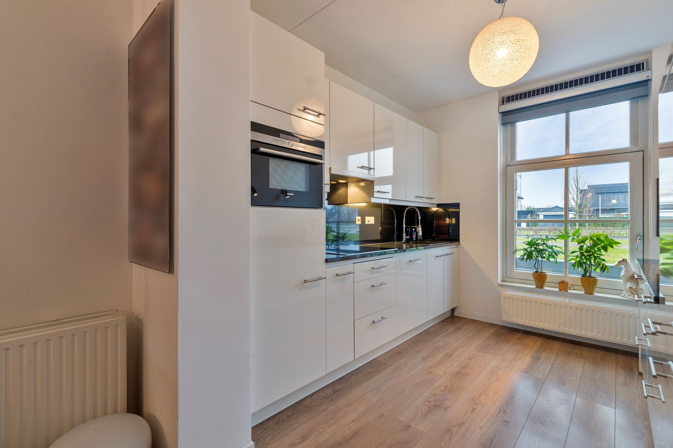 Photo 3 of Kuifeend 17