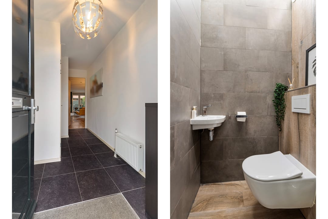 Photo 8 of Kuifeend 17