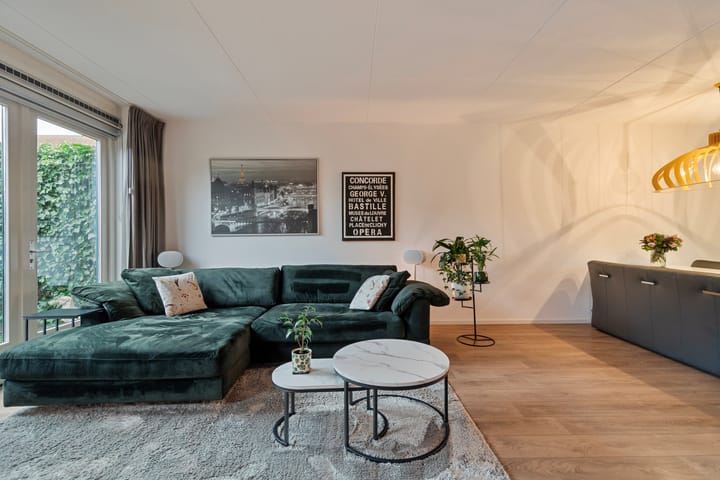 Foto 11 van Kuifeend 17