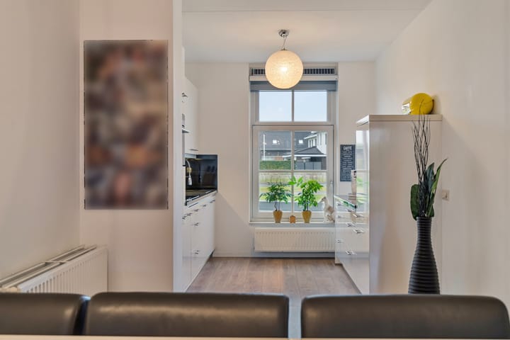 Foto 14 van Kuifeend 17