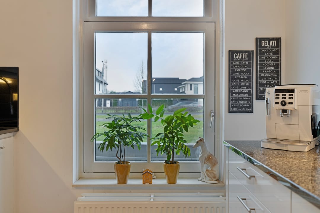 Photo 16 of Kuifeend 17