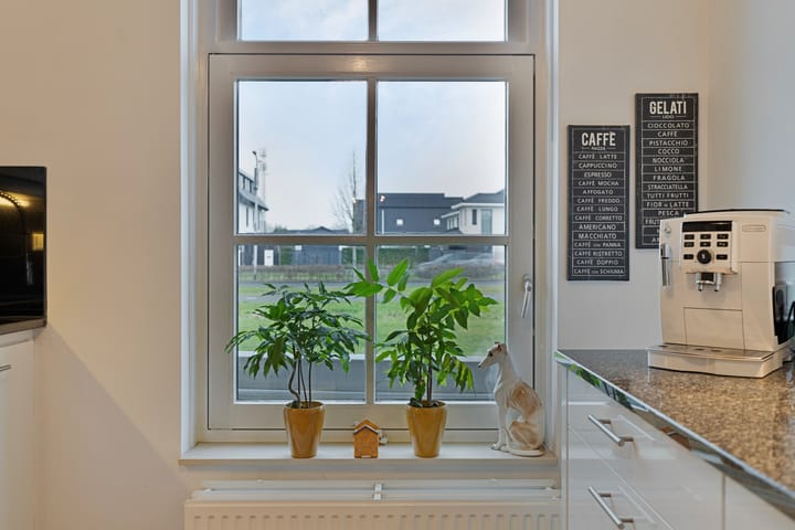 Foto 16 van Kuifeend 17