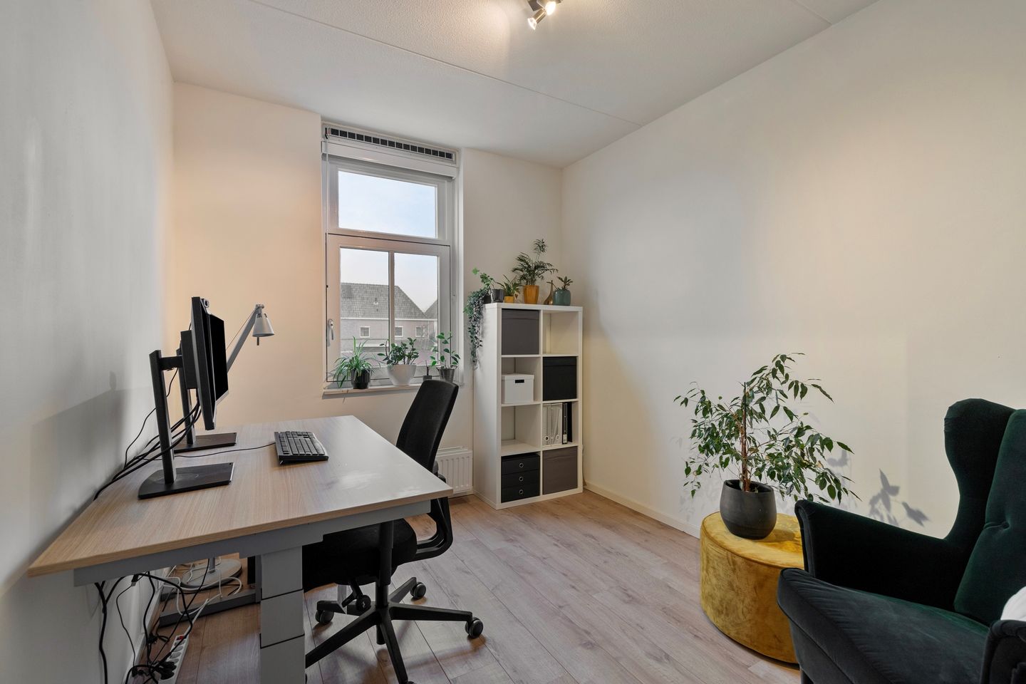 Photo 20 of Kuifeend 17