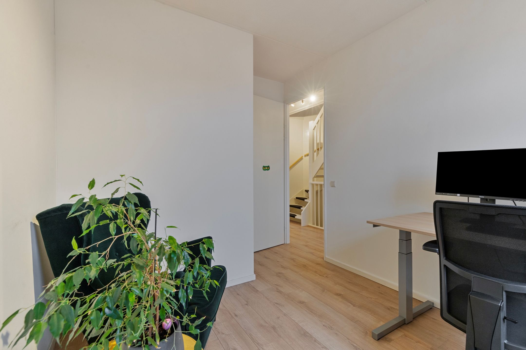 Photo 21 of Kuifeend 17