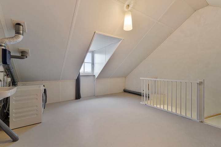 Foto 27 van Kuifeend 17