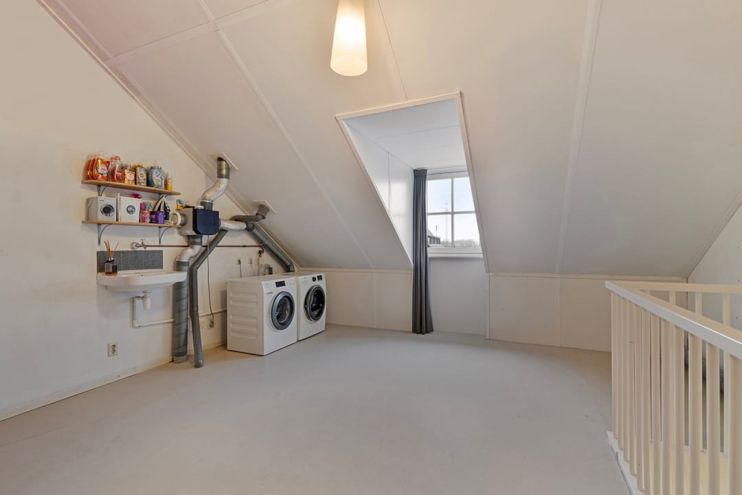 Photo 28 of Kuifeend 17