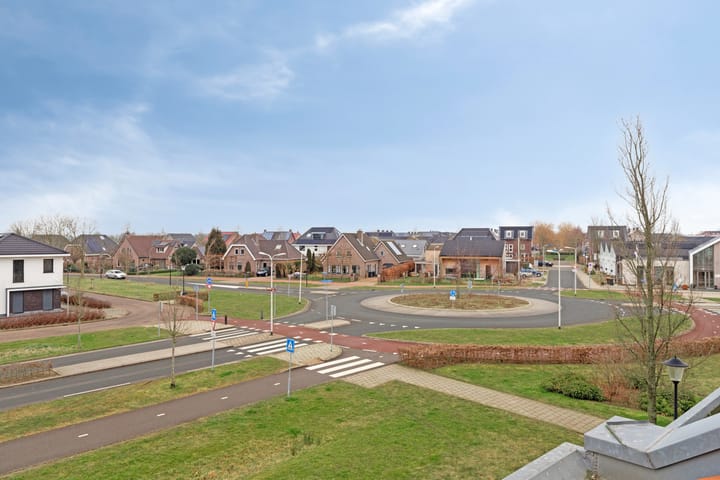 Foto 29 van Kuifeend 17