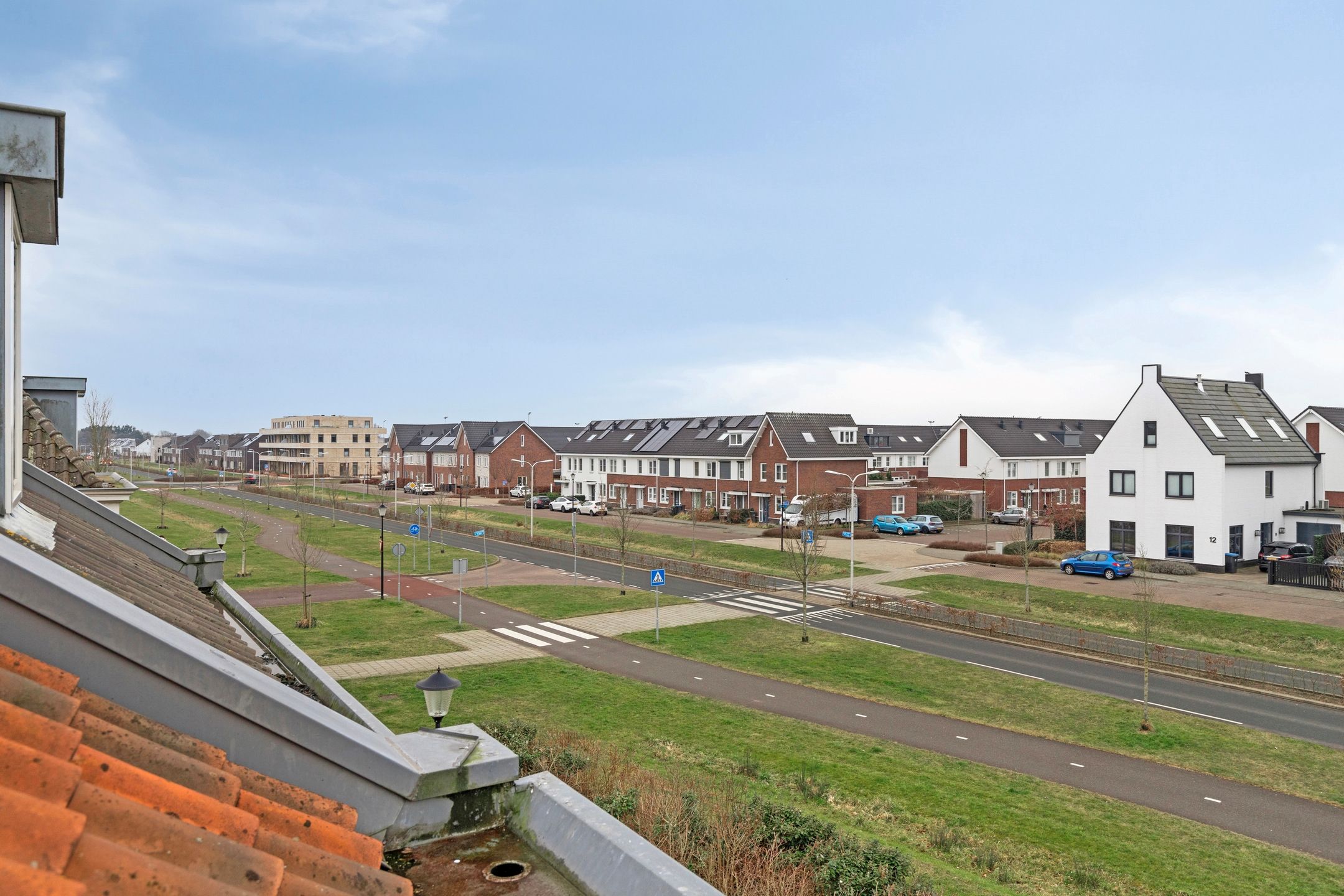 Photo 30 of Kuifeend 17