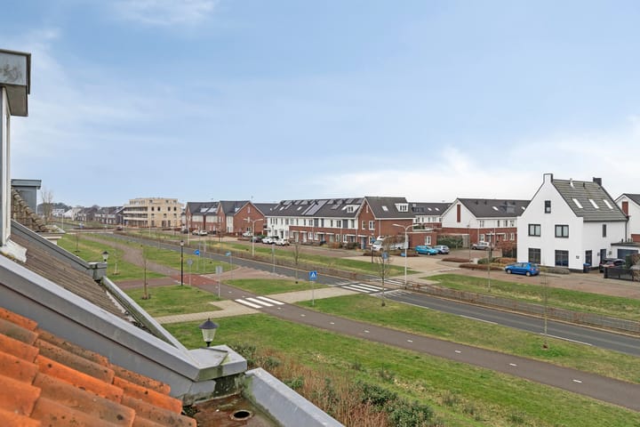 Foto 30 van Kuifeend 17