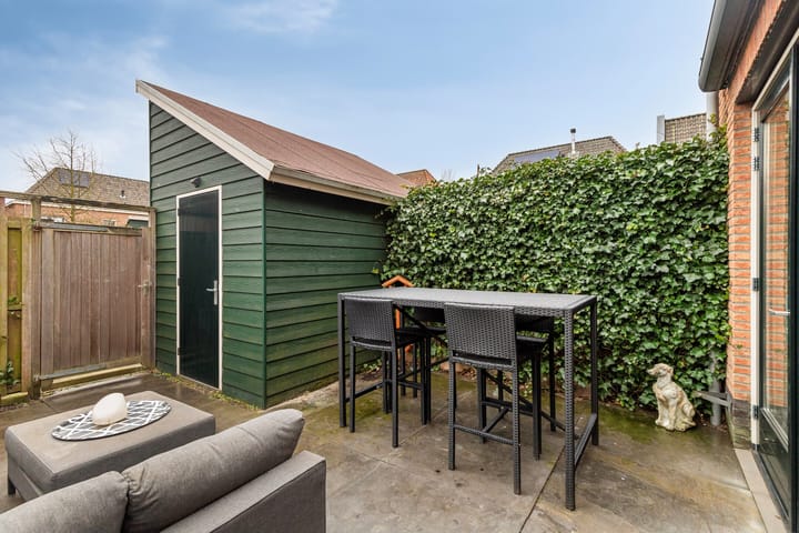 Foto 31 van Kuifeend 17